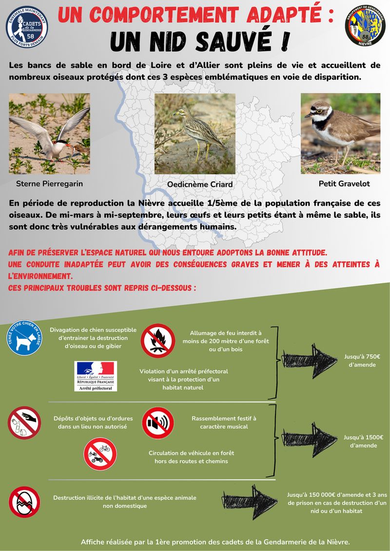 20250317 affiche environnement cadets.jpg
